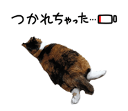 842138506