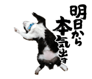 842138507