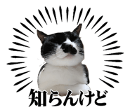 842138508