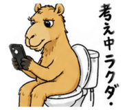 842138639