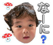 842138667