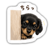 842138694