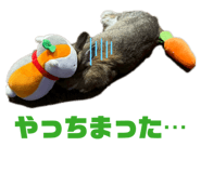 842138732