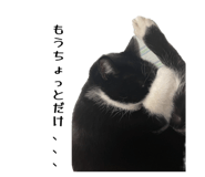 842139848