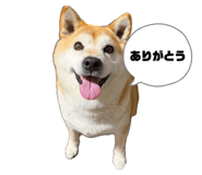 842140258