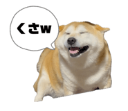 842140260