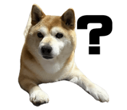 842140261