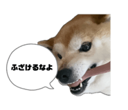 842140262