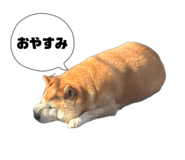 842140263
