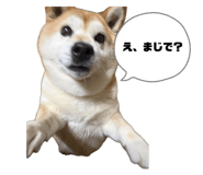 842140264