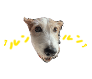 842140293