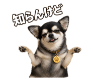 842140406