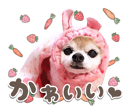842140802