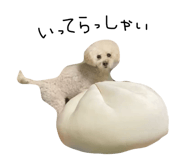 842140859