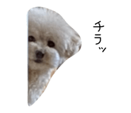 842140870