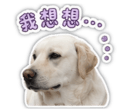 842142102
