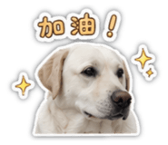 842142120