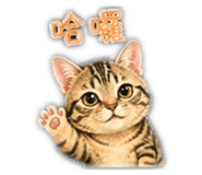 842142274