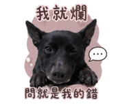 842143503