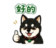842143706