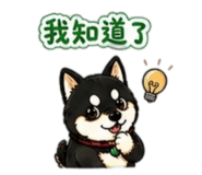 842143707