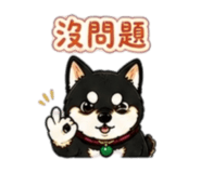 842143708