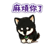 842143714