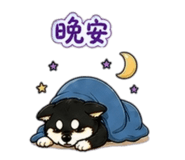 842143717