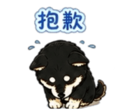 842143720