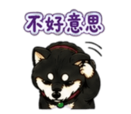 842143721