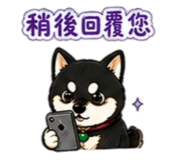 842143726