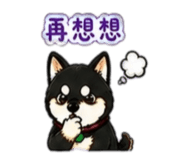 842143729