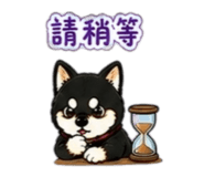 842143734