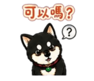 842143737