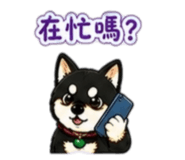 842143738