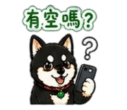 842143739