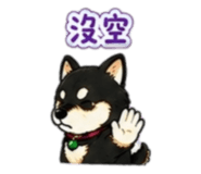 842143741