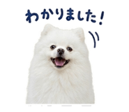 842144298