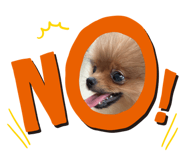 842144576