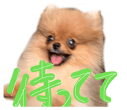 842144582