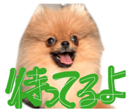 842144583
