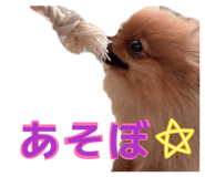 842144584