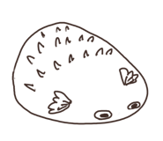 842144727