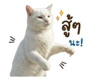 842144897