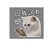 842145861
