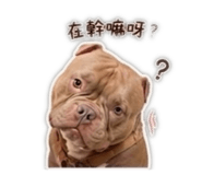 842146460