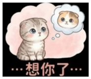 842146502