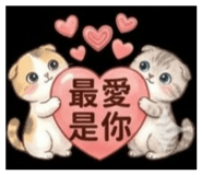 842146517