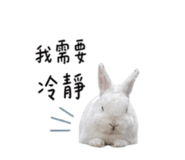 842146533