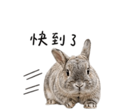 842146552